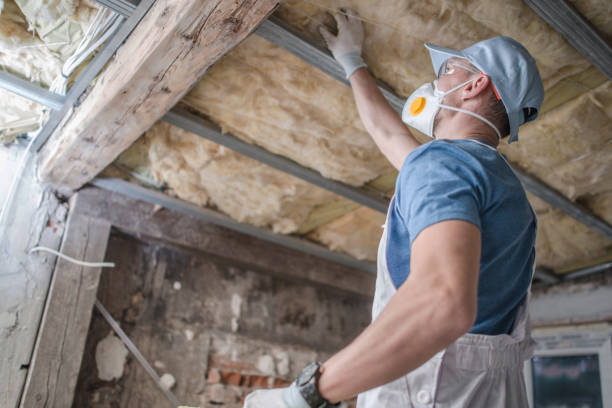 Best Specialty Insulation in New Lisbon, WI